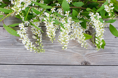 Similar image 745297