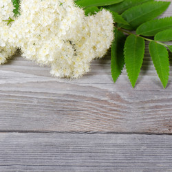 Similar image 745298