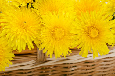 Similar image 745299