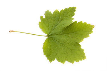 Similar image 745314