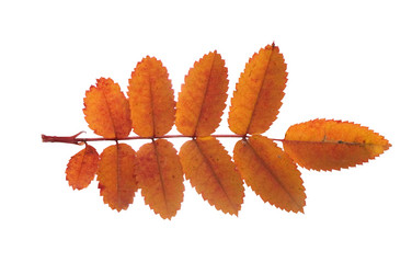 Similar image 745316