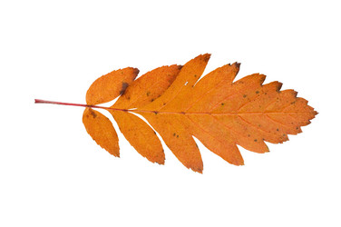 Similar image 745317