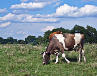 Similar image 745321