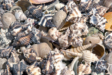 Similar image 745324