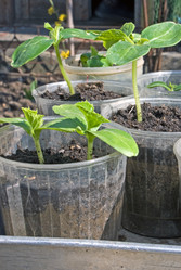 Similar image 745328