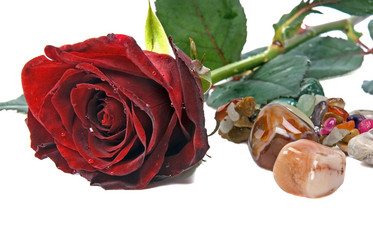 Similar image 745356