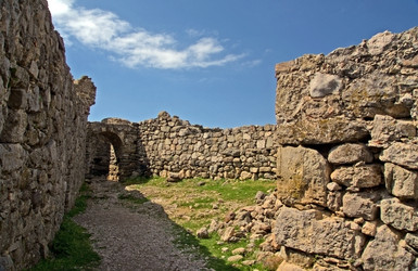 Similar image 745372