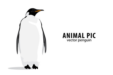 Similar image 745429