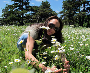 Similar image 745529