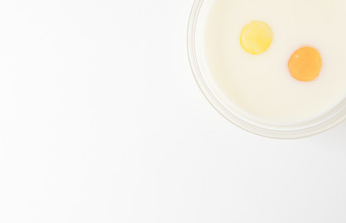 Similar image 745552