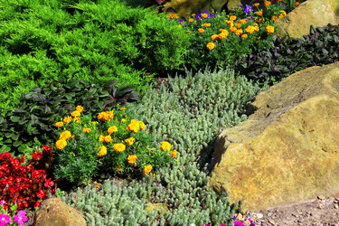 Similar image 745566