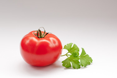 Similar image 745569