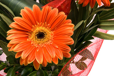 Similar image 745628