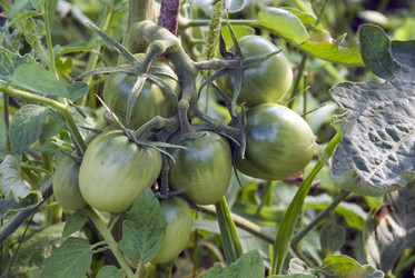 Similar image 745639