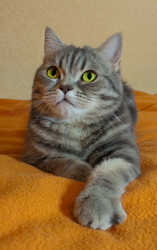 Similar image 745667