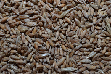 Similar image 745739