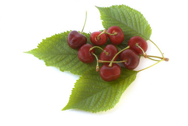 Similar image 745753