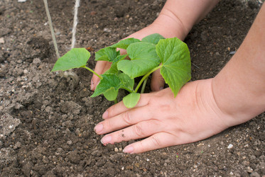 Similar image 745786