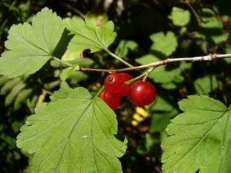 Similar image 745810