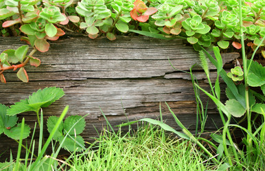 Similar image 745891