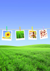 Similar image 745894