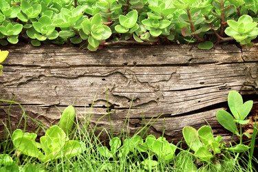 Similar image 745896