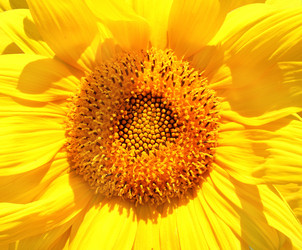 Similar image 745899