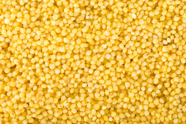 Similar image 745905