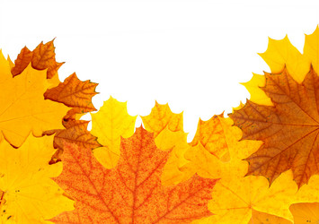 Similar image 745908