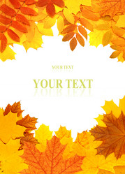 Similar image 745909