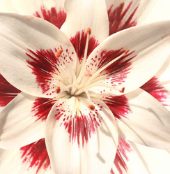 Similar image 745921