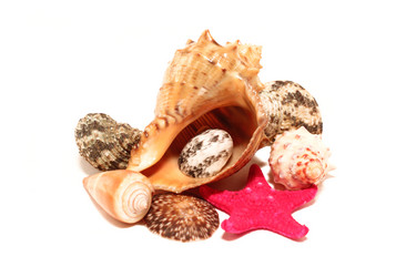 Similar image 745982