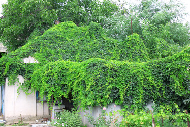 Similar image 745994