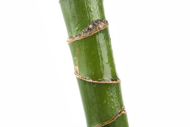 Similar image 745995