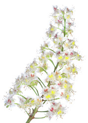 Similar image 746091