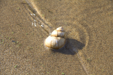 Similar image 746195