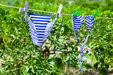 Similar image 746210