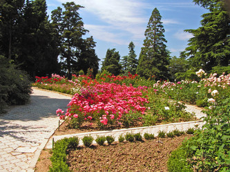 Similar image 746256