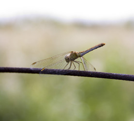 Similar image 746316