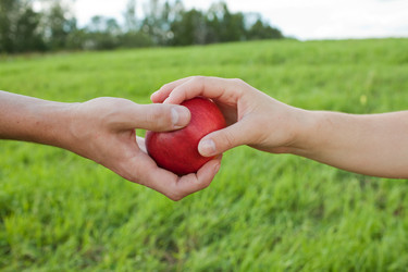 Similar image 746567