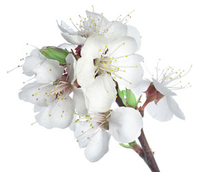 Similar image 746630