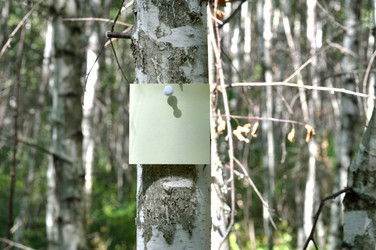 Similar image 746679