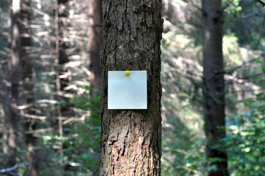 Similar image 746680