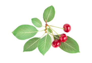 Similar image 746834