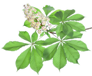 Similar image 746836