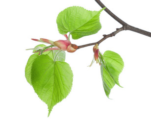 Similar image 746838