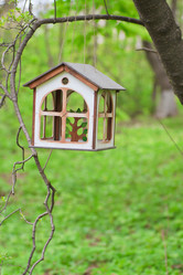 Similar image 746883