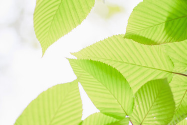 Similar image 746902