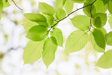 Similar image 746903