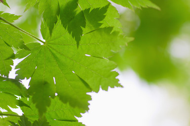 Similar image 746905